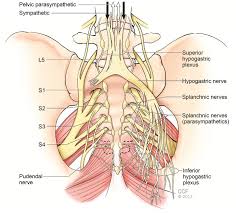 MATERNAL OBSTETRIC PALSY image